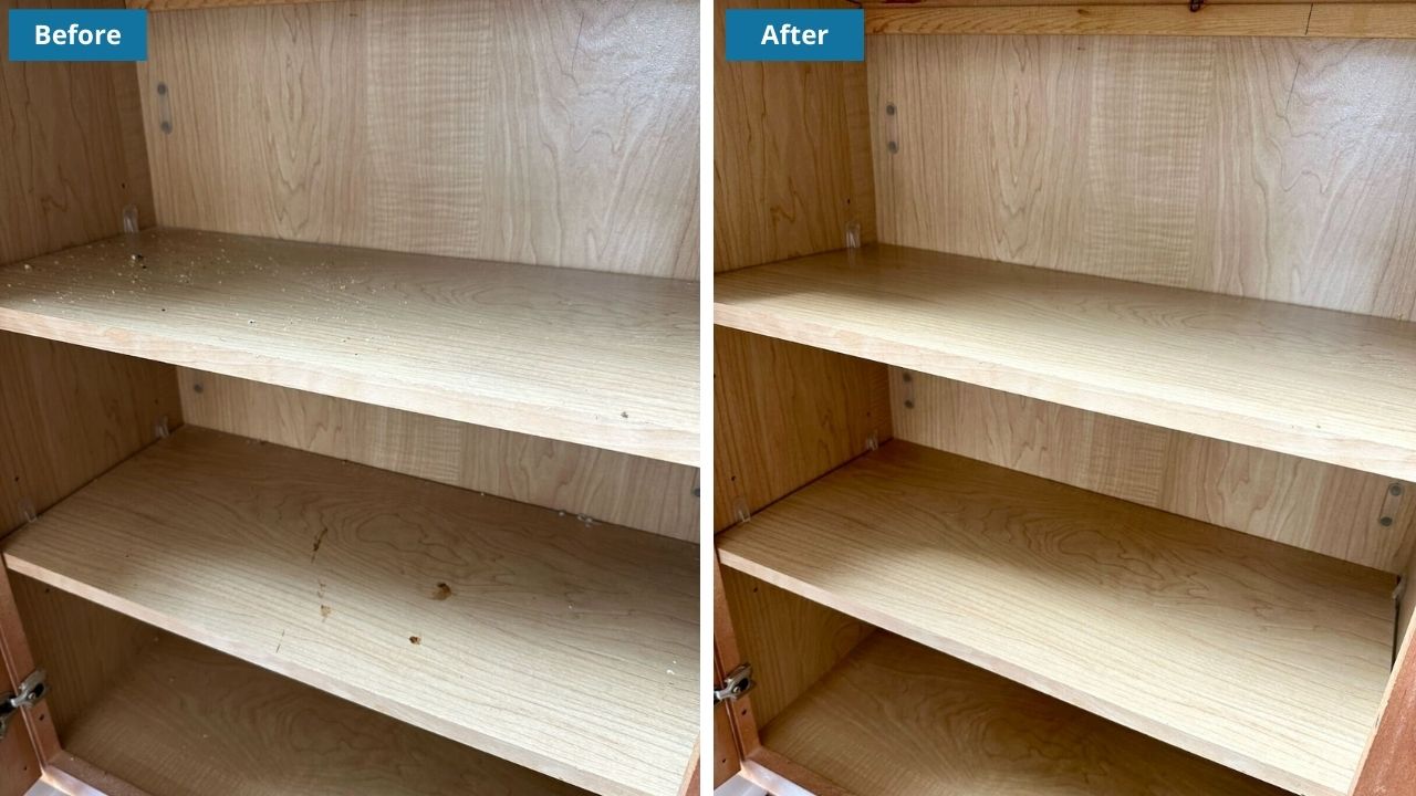 Wicker Park Cleaning Service Before & After